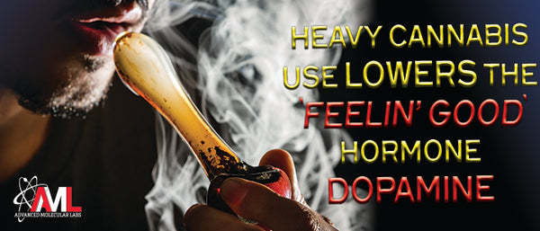 Heavy Cannabis Use Lowers The 'Feeling Good' Hormone Dopamine