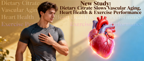 Dietary Citrate Slows Vascular Aging, Boosts Heart Health & Exercise Performance