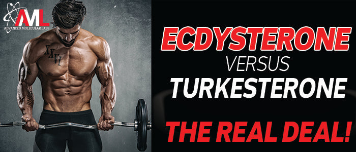 Ecdysterone vs Turkesterone: In-Depth Comparison Guide