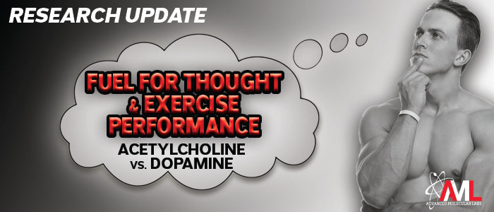 choline bitartrate vs acetyl l carnitine Pure Encapsulations (Bitartrate) - 275 mg Choline (Bitartrate) - Supports Methylation, Brain Health & Cell Function* - Highly Bioavailable Acetyl L Carnitine VS L