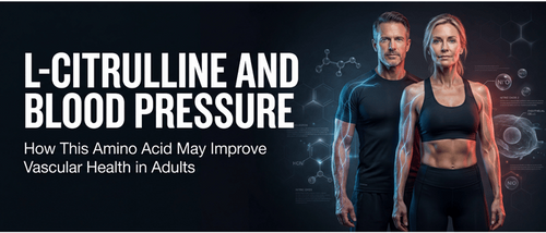 L-Citrulline and Blood Pressure: How This Amino Acid May Improve Vascular Health in Adults†