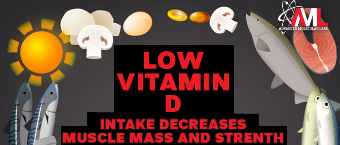 Visual depiction of how low vitamin D intake may relate to reduced muscle mass and strength