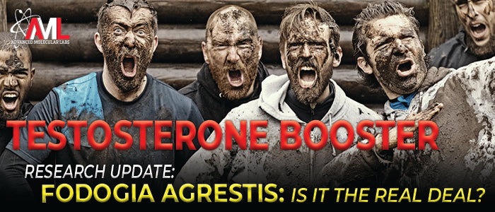 Boosteroid Free Trial - Is It Possible to Get One? - NewsBugz LifeStyle