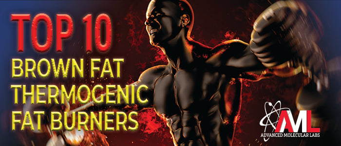 Mince Knop trappe Top 10 Thermogenic Fat Burners For Brown Fat - AML
