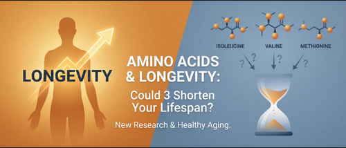 Amino Acids and Longevity: Could 3 Shorten Your Lifespan?