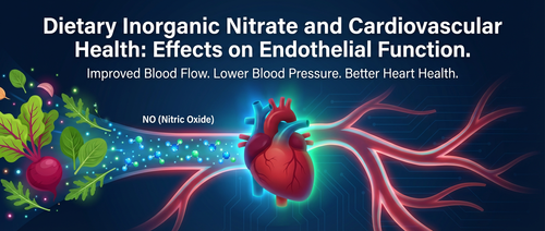Dietary Inorganic Nitrate and Cardiovascular Health: Effects on Endothelial Function